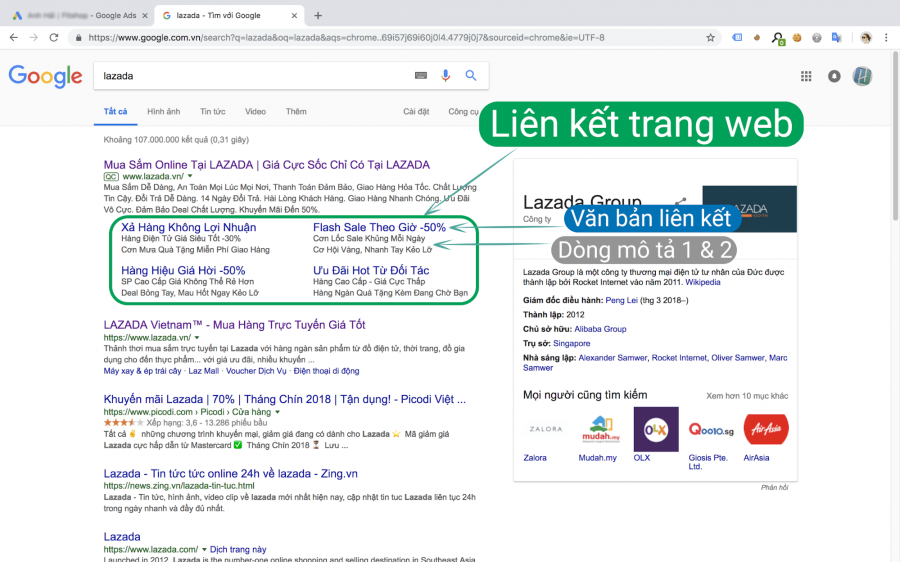 Cách hiển thị tiện ích mở rộng liên kết trang web thứ nhất với phần mô tả 1 và mô tả 2 chiếm diện tích lớn
