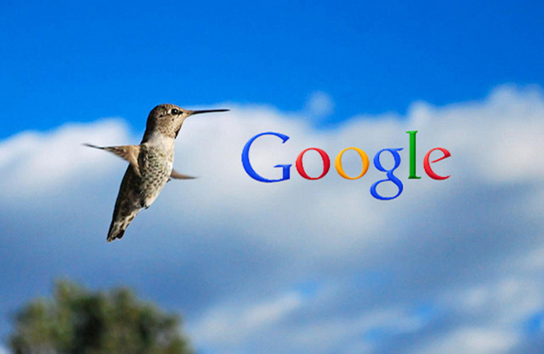 Hummingbird là gì?